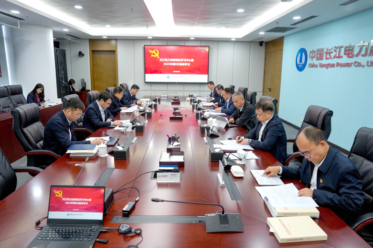 伟德国际1946党委理论学习中心组专题学习党的二十届四中全会精神